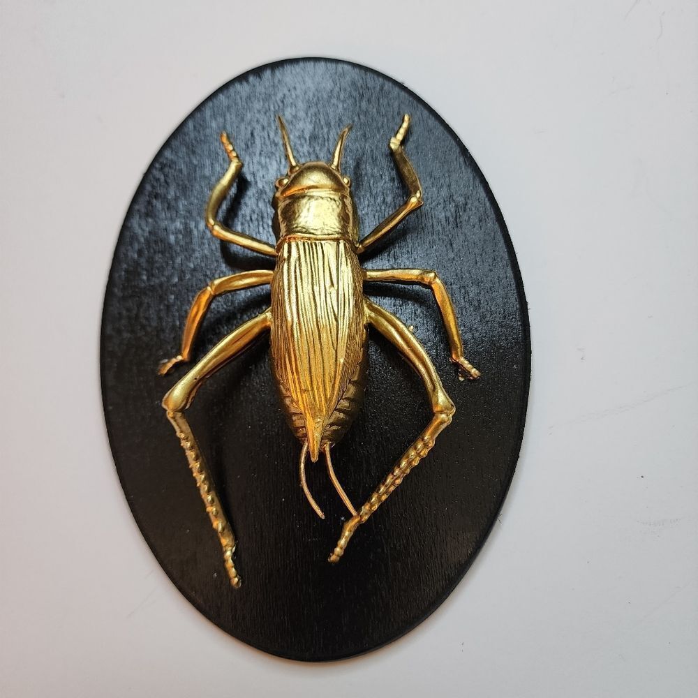 Handmade by Me Gold Painted Beetle On Wooden Plaque Bug Art